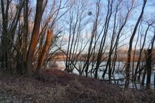 Nationalpark Donauauen, Stopfenreuther Au, core zone, danube flood