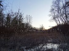 Nationalpark Donauauen, Stopfenreuther Au, core zone