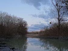 Nationalpark Donauauen, Stopfenreuther Au, core zone