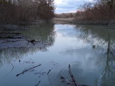 Nationalpark Donauauen, Stopfenreuther Au, core zone