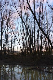 Nationalpark Donauauen, Stopfenreuther Au, core zone
