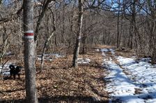 Silická planina