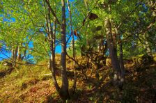 Hrčova Kečka 1226m