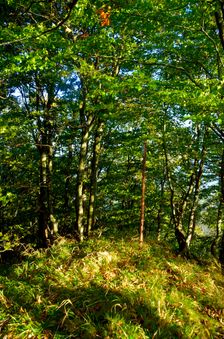 Hrčova Kečka 1226m, vrcholová tyč