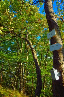 Hrčova Kečka 1226m, tabule