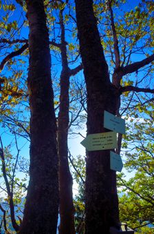 Hrčova Kečka 1226m, tabule