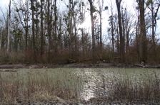 Nationalpark Donauauen, Stopfenreuther Au, core zone