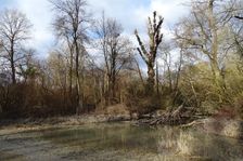 Nationalpark Donauauen, Stopfenreuther Au, core zone, growing human impacts