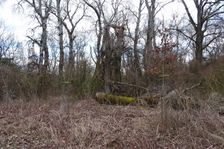 Nationalpark Donauauen, Stopfenreuther Au, core zone, human impacts