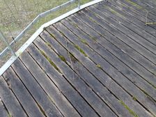 Nationalpark Donauauen, Stopfenreuther Au, decaying wood