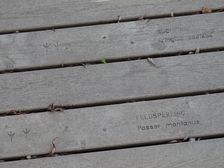 Nationalpark Donauauen, Stopfenreuther Au, fine information art work on the platform