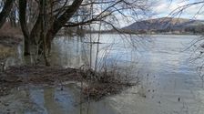Nationalpark Donauauen, Stopfenreuther Au, core zone, danube flood, view to Hundsheimer Berg