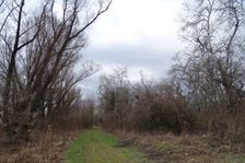 Nationalpark Donauauen, Stopfenreuther Au, core zone