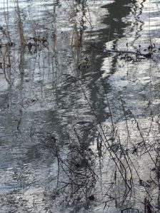 Nationalpark Donauauen, Stopfenreuther Au, core zone, danube flood