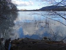 Nationalpark Donauauen, Stopfenreuther Au, core zone, danube flood