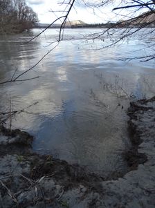 Nationalpark Donauauen, Stopfenreuther Au, core zone, danube flood