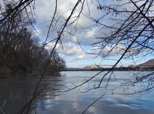 Nationalpark Donauauen, Stopfenreuther Au, core zone, danube flood