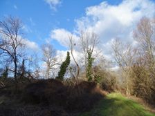 Nationalpark Donauauen, Stopfenreuther Au, core zone