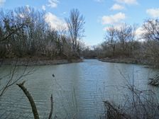 Nationalpark Donauauen, Stopfenreuther Au, core zone