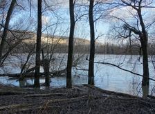 Nationalpark Donauauen, Stopfenreuther Au, core zone, danube flood
