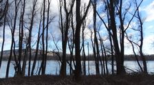 Nationalpark Donauauen, Stopfenreuther Au, core zone