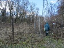 Nationalpark Donauauen, Stopfenreuther Au, core zone, human impacts