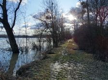Nationalpark Donauauen, Stopfenreuther Au, core zone, (after) danube flood