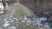 Nationalpark Donauauen, Stopfenreuther Au, core zone, danube flood
