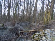 Nationalpark Donauauen, Stopfenreuther Au, core zone