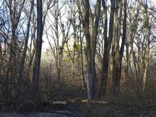 Nationalpark Donauauen, Stopfenreuther Au, core zone