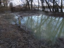 Nationalpark Donauauen, Stopfenreuther Au, core zone