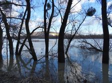Nationalpark Donauauen, Stopfenreuther Au, core zone, danube flood