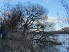 Nationalpark Donauauen, Stopfenreuther Au, core zone