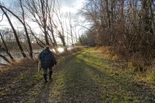 Nationalpark Donauauen, Stopfenreuther Au, core zone