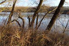 Nationalpark Donauauen, Stopfenreuther Au, core zone