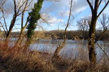 Nationalpark Donauauen, Stopfenreuther Au, core zone