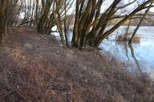 Nationalpark Donauauen, Stopfenreuther Au, core zone