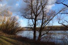 Nationalpark Donauauen, Stopfenreuther Au, core zone