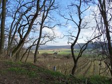 Hainburg - Braunsberg