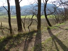 Hainburg - Braunsberg