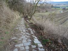Hainburg - Braunsberg