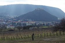 Hainburg - Braunsberg, view to Schloßberg & Hundsheimer Berg