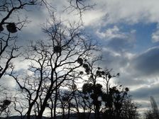 Hainburg - Braunsberg