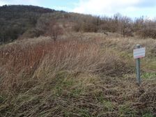 Hainburg - Braunsberg