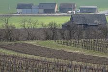 Hainburg - Braunsberg