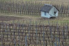 Hainburg - Braunsberg