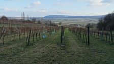 Hainburg - Braunsberg, view to Königswarte