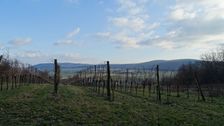 Hainburg - Braunsberg, view to Hindlerberg & Königswarte