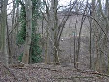 Braunsberg
