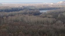 Braunsberg, view over NP Donauauen